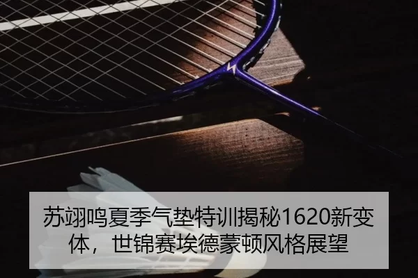 苏翊鸣夏季气垫特训揭秘1620新变体，世锦赛埃德蒙顿风格展望